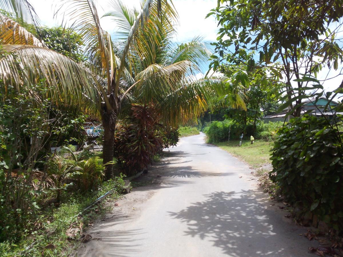 Pandan Beach Homestay Kampong Pandan Exteriör bild